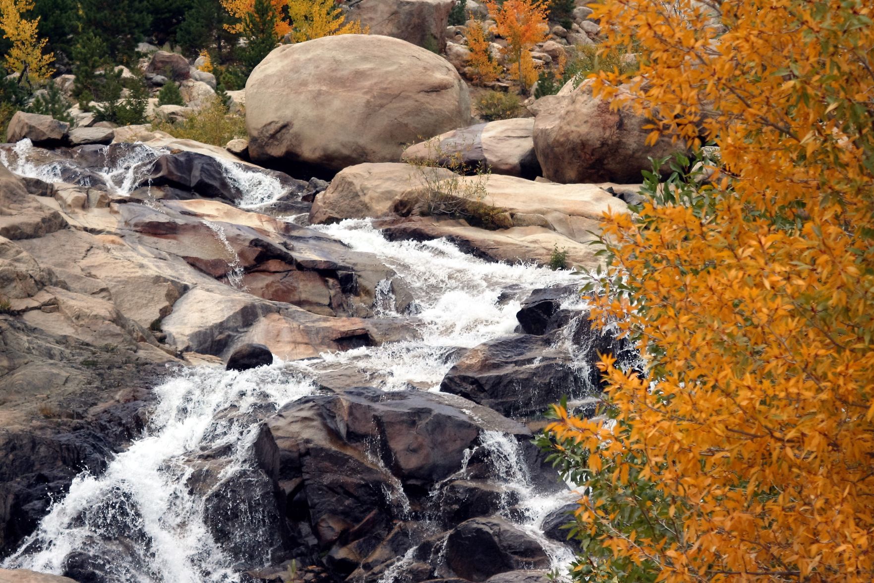 Rocky Mountain Waterfall